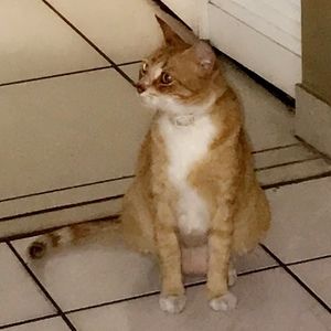 Meet your Posher, Celia